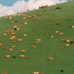 走火大同的头像-OneCup